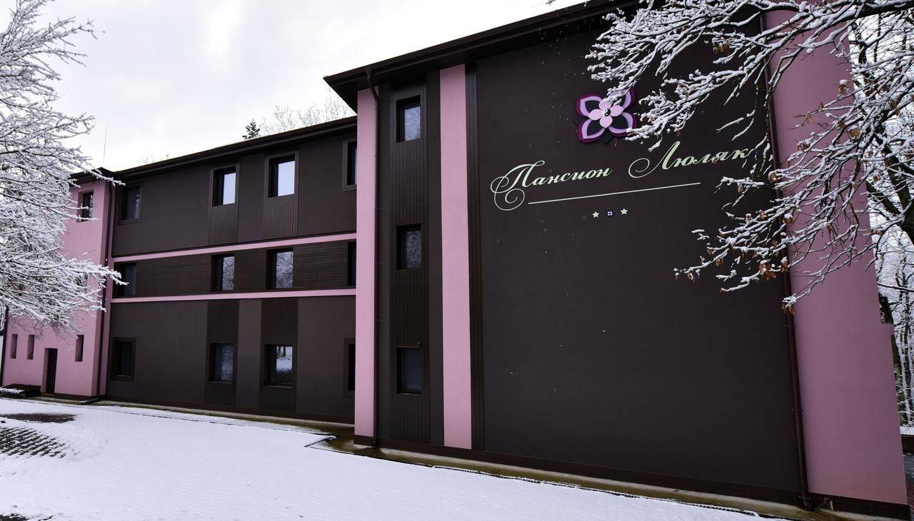 Фото Отели Boutique Hotel Lyulyak Старозагорски-Бани 2